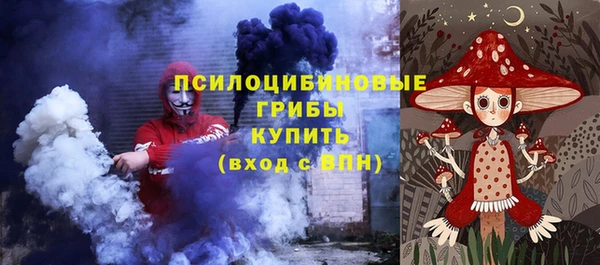 ПСИЛОЦИБИНОВЫЕ ГРИБЫ Ладушкин