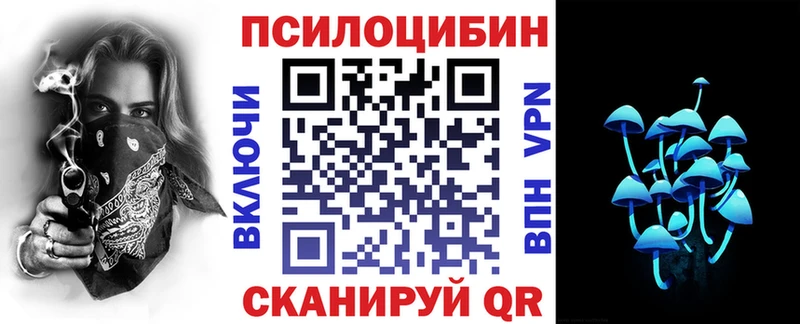 Псилоцибиновые грибы Psilocybine cubensis  Калининград 