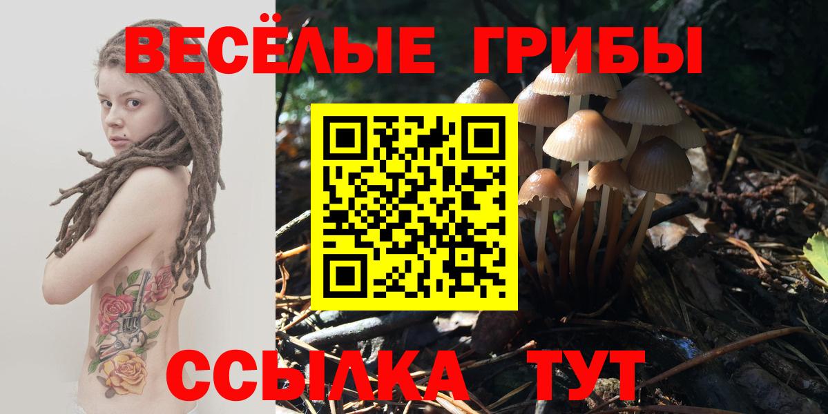 Псилоцибиновые грибы Magic Shrooms  Калининград 